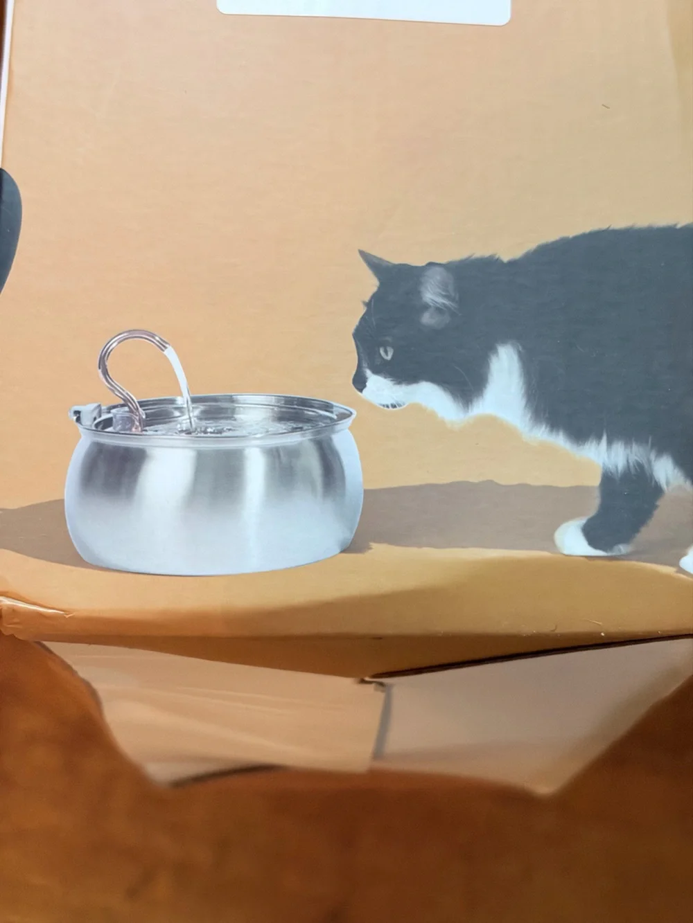 Stainless Steel Cat Fountain - Cream & Black
